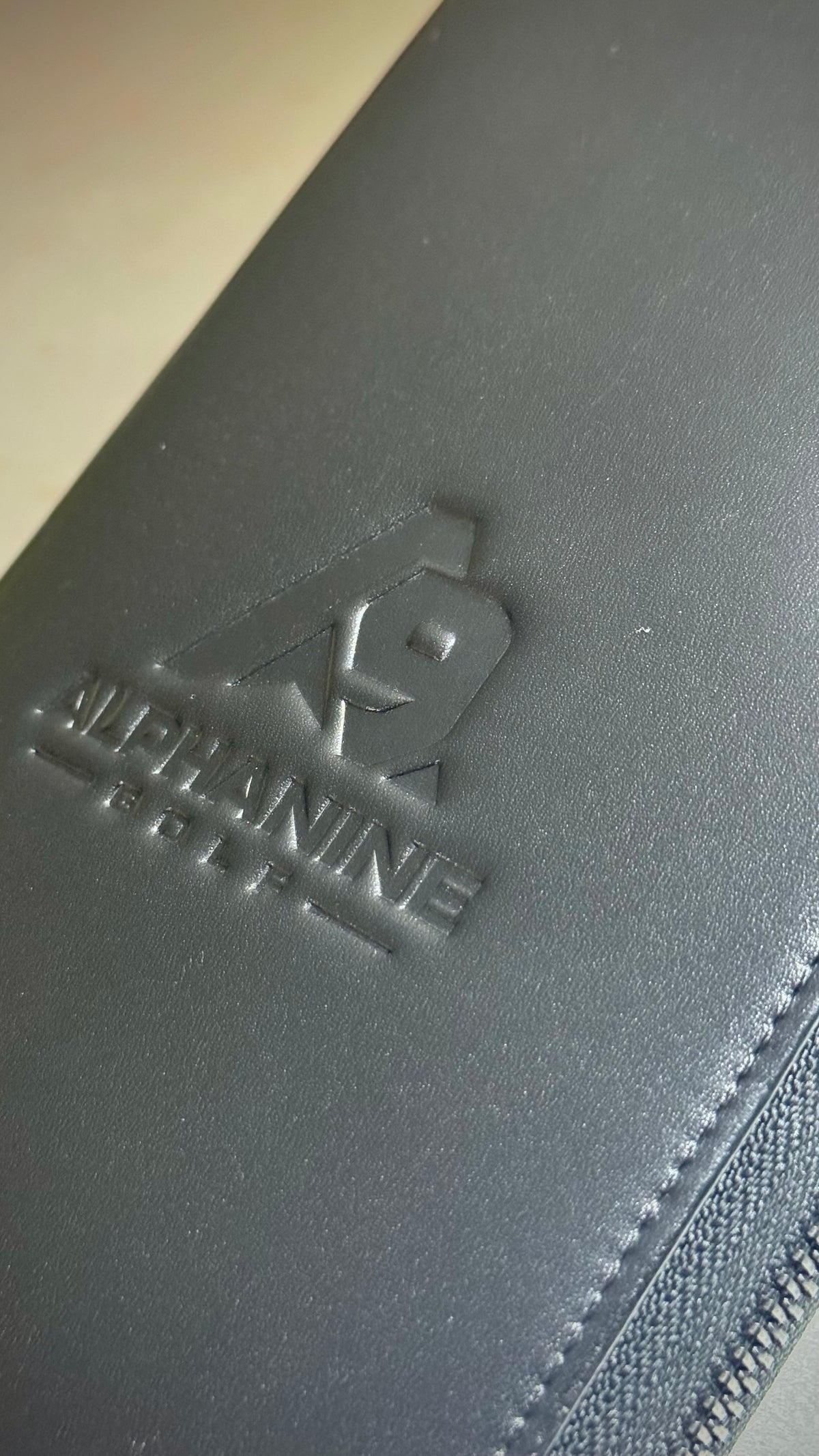 IX Glove Case