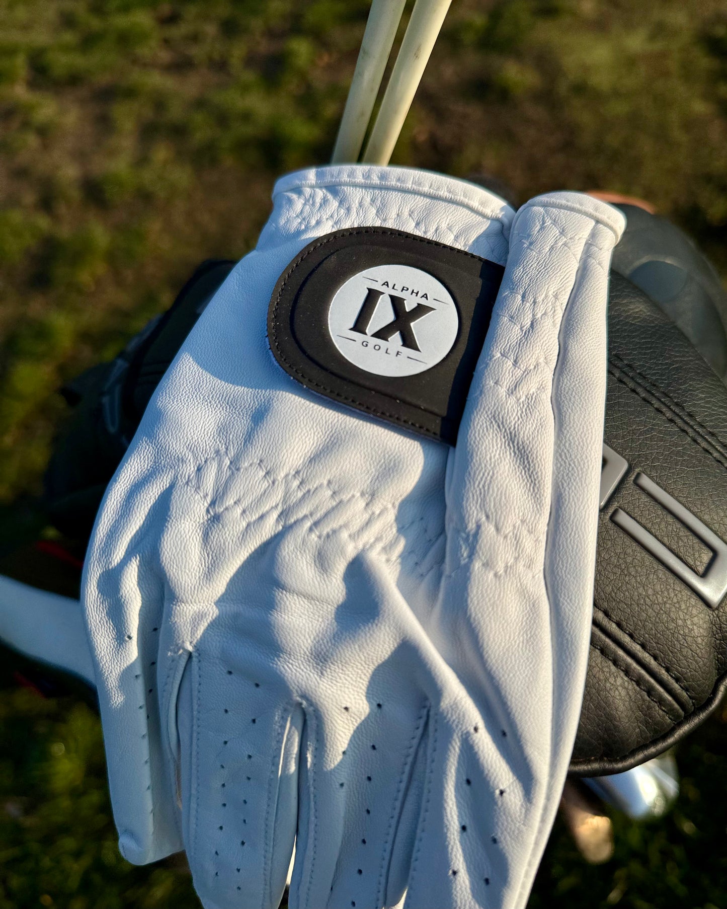 AlphaGrip Golf Glove